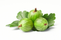 www.bestfoods.pl/upload/Zasobnik%20systemowy/Container_shop.ShopProduct/ver8_gooseberry%20agrest.jpg